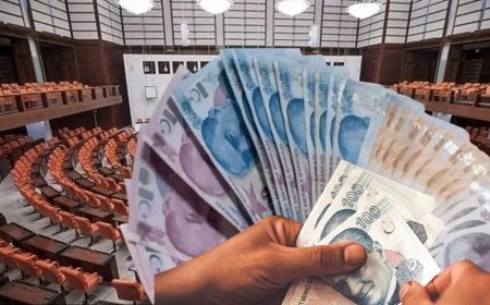 Başvuran Herkes Alacak! Engelli, Yaşlı ve Çocuklu Ailelere 6.454 TL Sosyal Destek Ödemesi Başladı